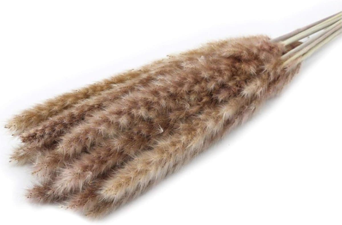 Gedroogde Bloemen, Pampas Gras DIY Handgemaakte Valentijnsdag Bruiloft Woondecoratie Boeket Pampas Grass (Color : Brown) — afbeelding 1