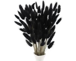 Gedroogde bloemen, decoratie, konijnenstaart, 120 stuks, pampa, 40
