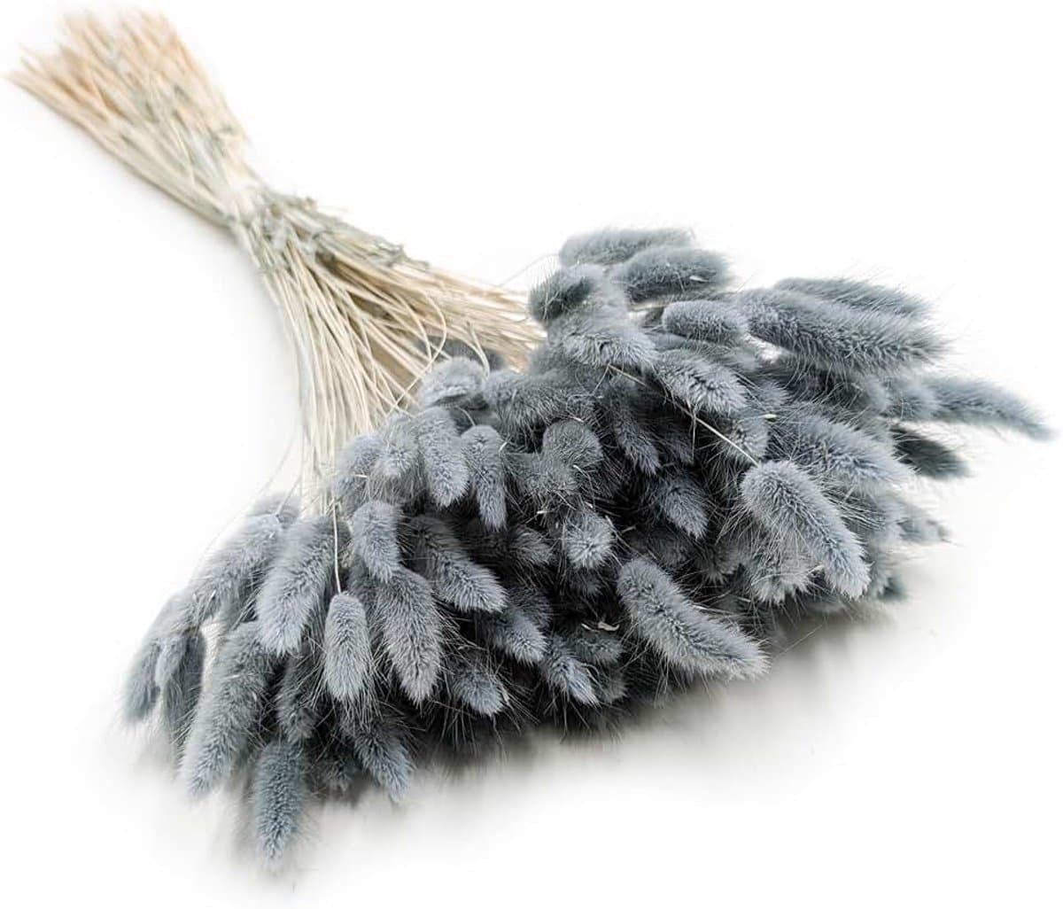 Dekogras, gedroogd gras, siergras, hazenstaarten, lagurus, ovatus, fluweelgras, haasstaartgras, droogbloemen, natuurlijk boho, 120 - 150 stuks, 100 g, parelgrijs — afbeelding 1
