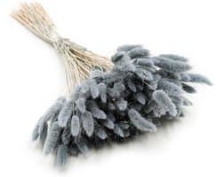 Dekogras, gedroogd gras, siergras, hazenstaarten, lagurus, ovatus, fluweelgras, haasstaartgras, droogbloemen, natuurlijk boho, 120 - 150 stuks, 100 g, parelgrijs