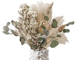 Gedroogde set, wollige gedroogde bloemen, boeket decoratie, gedroogd pampasgras, gedroogde bloemen, pampasgras, voor bruiloften, wooncultuur
