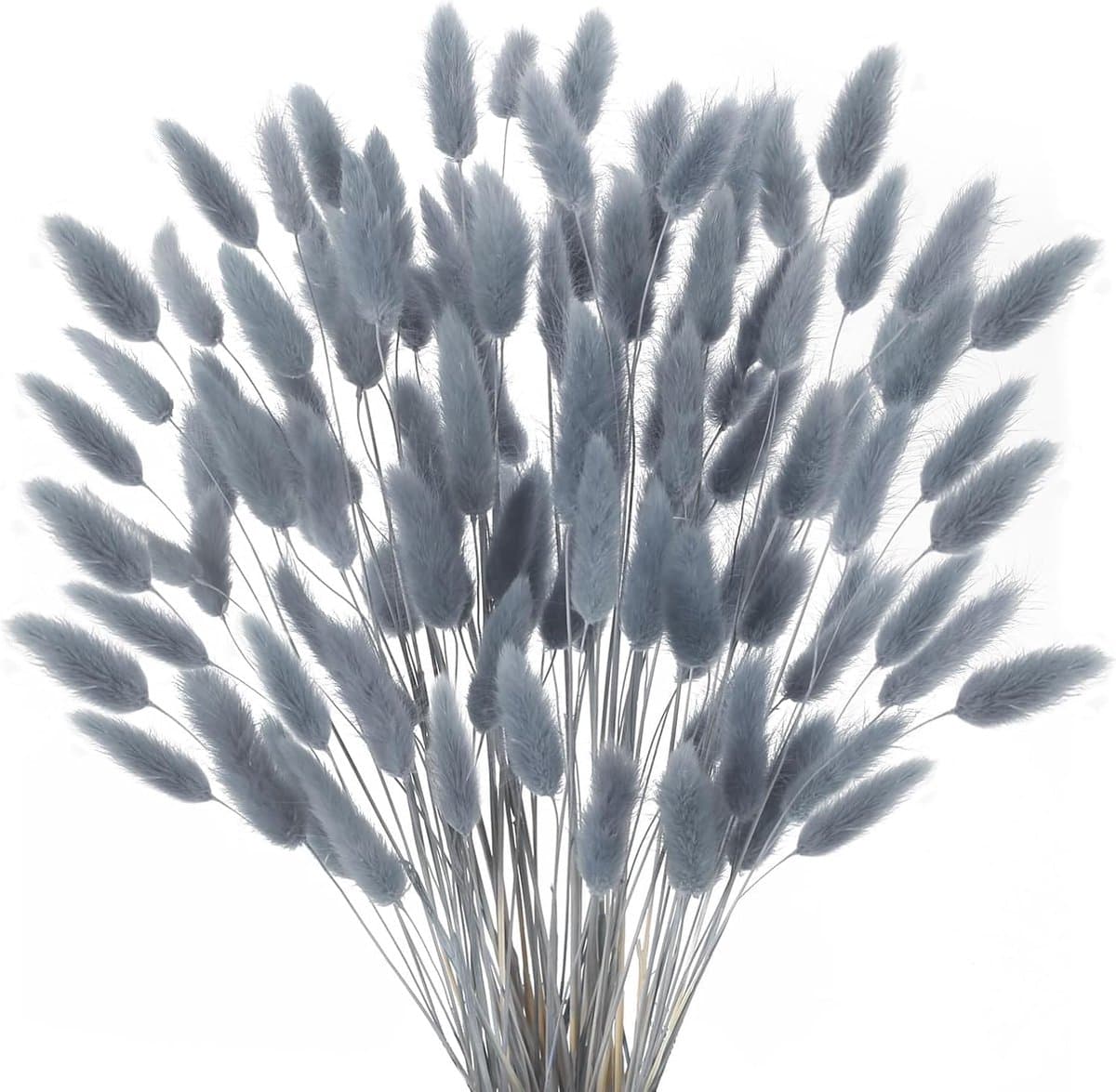 Gedroogde bloemen, konijnenstaart, grijs, natuurlijke droogbloemen, gras, konijnenstaart, gedroogde bloemen, decoratief voor thuis, tafel, bruiloft, vaas, feest — afbeelding 1