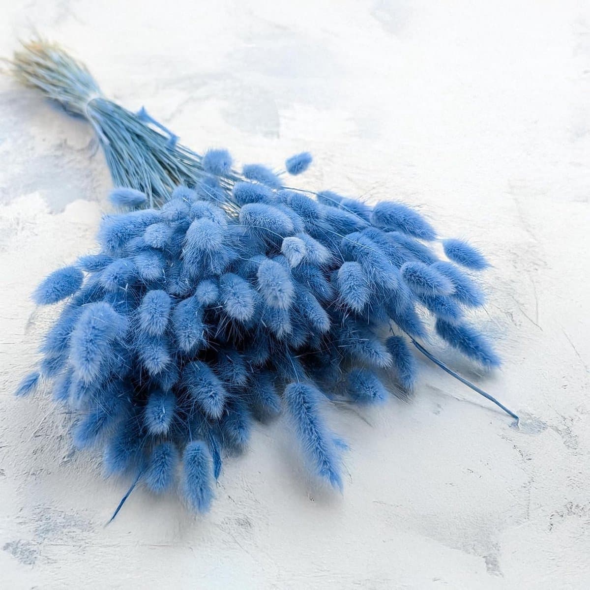 Dekogras gedroogd gras, siergras, konijnenstaarten, Lagurus Ovatus, fluwelen gras, hazenstaartgras, gedroogde bloemen, natuurlijk, boho, 120-150 stuks, 100 g, azuurro — afbeelding 1