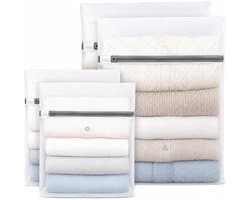 Dailygoods- Wasnet Set van 4 - Fijnmazig Wasnet voor Delicate Was - Waszakken met Ritssluiting - Waszakken voor Ondergoed/Sokken - 20 x 30 cm/30 x 40 cm - Duurzaam Polyester Mesh - Waszak