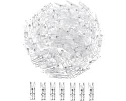 Lentehangende clips, 100 stuks, mini-klemmen, doorzichtige wasknijpers, transparante kunststof klemmen, kleine klemmen voor het ophangen van foto's, lichtkettingen