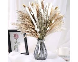 85 Stuks Pampas Gras Gedroogd Natuurlijk Gedroogde Bloemen Deco DIY Droog Bloemen Boeket, Pampas Gras Boeket Rietbloem Deco Ideaal voor Boho Woonkamer