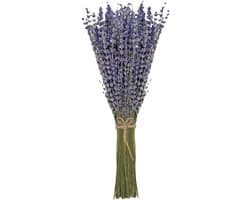 gedroogd bundel 100 stengels 42 cm lang lavendelbloemen uit de Provence lavendelbundel droogbloemen boeket