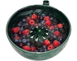 Waskom Groentereiniger - Fruit spinner - Hygiënisch Bereiden - Zacht wervelend ontwerp - 15x15x8 cm - Bosgroen