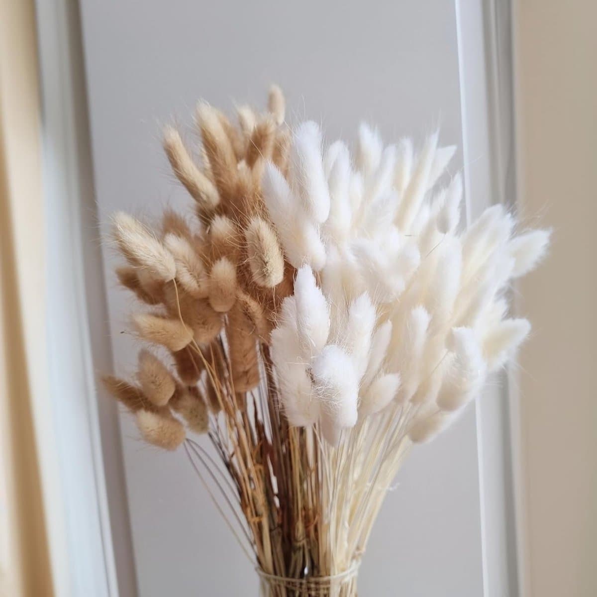 Gedroogde bloemen, natuurlijke en witte kleur, droogbloemenboeket, gedroogde bloemen, perfect voor bruiloften, huisdecoratie, thuis, feest, bruiloft, vaas — afbeelding 1