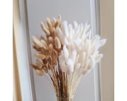 Gedroogde bloemen, natuurlijke en witte kleur, droogbloemenboeket, gedroogde bloemen, perfect voor bruiloften, huisdecoratie, thuis, feest, bruiloft, vaas