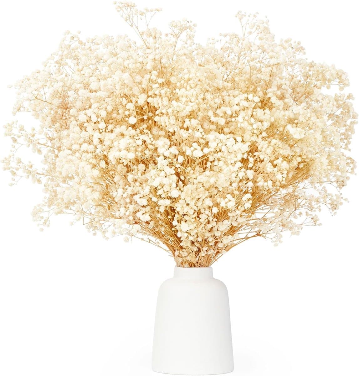 Gedroogde bloemen, meer dan 3500 ivoorwitte bloemen, natuurlijke gypsophila takken voor doe-het-zelf krans, huis, bruiloft, tafel, vaas — afbeelding 1