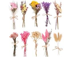 Gedroogde Bloemen Stijl, Decoratieve Takken voor DIY Ambachten, Bruiloft en Huisdecoratie, Groen