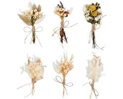 Gedroogde bloemen, kleine gedroogde bloemen, gedroogde bloemen om mee te knutselen, natuurlijke gedroogde boeketten voor fotolijsten, DIY, huisfeestjes en bruiloftsdecorat