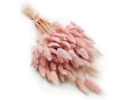 Dekogras, gedroogd gras, siergras, hazenstaarten, lagurus, ovatus, fluweelgras, haasstaartgras, droogbloemen, natuurlijk boho, 120 - 150 stuks, 100 g, parelroze