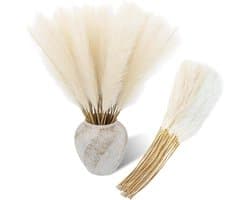 50 stuks gedroogd pampasgras, decoratie, 55 cm, kunstbeige, pluizig pampasgras, boho decoratief pampasgras voor bruiloft, kantoor, slaapkamer, woonkamer