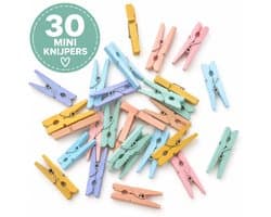 Mini Knijpers Pastel - 30 Houten Mini Knijpertjes - Knijpertjes voor Kaarten of Foto's