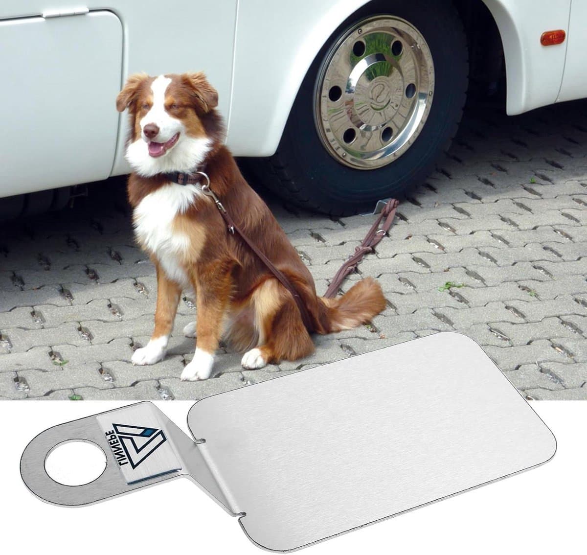 Grondanker Hond - Hondenbevestiging - Veilig Vastzetten - Roestvrij Staal - 30 cm Lengte - Zilver — afbeelding 1