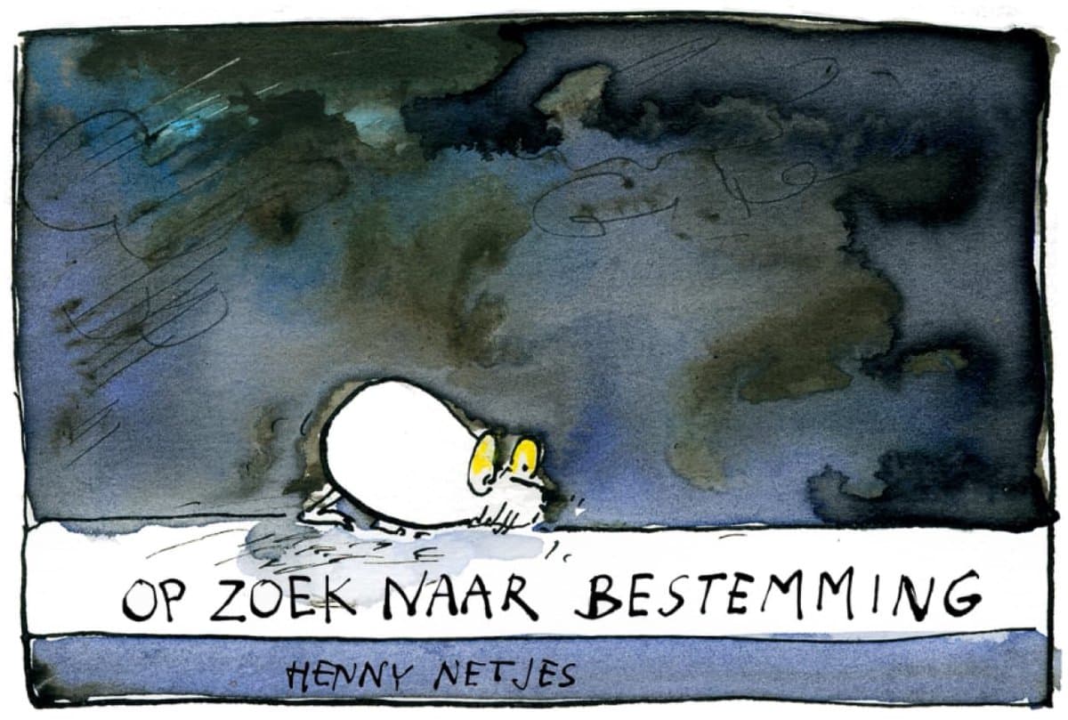 Zoek naar bestemming — afbeelding 1