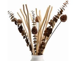 Gedroogde wilgentakken, decoratie, boeket gedroogde bloemen, eucalyptus en dennenappels, plant, decoratie voor rustiek, boho, tafel, huis, woonkamer, bruiloft