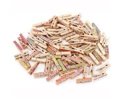 Dailygoods- Wasknijper 100 Stks - Kleurrijk Houten - Foto Clips - Ambachten - Gift Inpakken - Roestvrijstalen Veerdraad - Knijpers