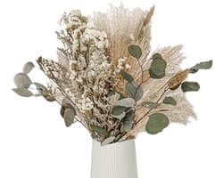 45Pcs Gedrogen Pampasgras, Pampasgras Deko, Trockenbloemen Bunny