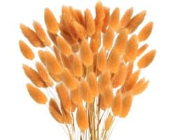 Gedroogd pampasgras, konijnenstaart, gras, 60 stuks, natuurlijke droogbloemen, boeket, decoratie, kunst, groot, droogbloemen, pampasgras voor interieurdecoratie, fotografie, bruiloft, oranje