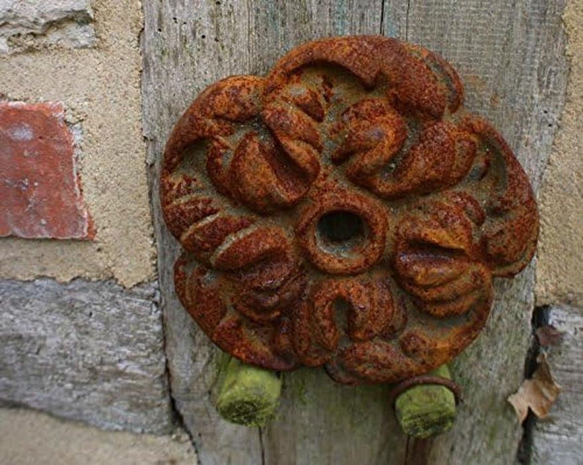 Decoratief Muuranker Rozenbloesem - Antiek Sieranker voor Gevel of Tuinmuur — afbeelding 1