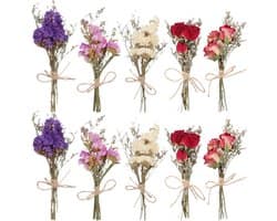 Droogbloemen Boeket 12 Stuks, Mini Gedroogde Bloemen voor Diy