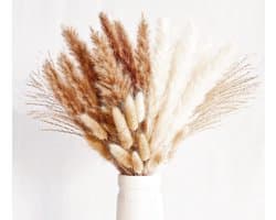 Droogbloemen, decoratie, kleine natuurlijke gedroogde boeketten van pampasgras, boho-decoratie, voor woonkamer, tafel, slaapkamer, bruiloften, badkamer, 70 stuks