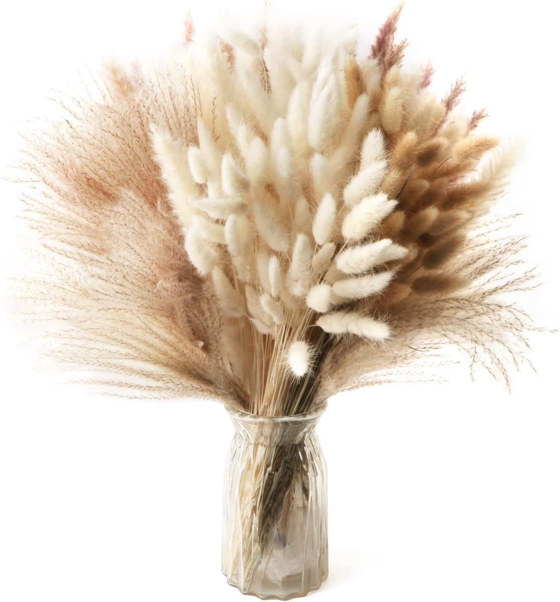 185 stuks natuurlijk gedroogd pampasgras decor, hoge pompas, bloemige rietgrassen, pluimstaarten, gedroogd boho bloemstuk voor bruiloft, tafel, woonkamer, slaapkamer, DIY-ambachten, boerderij — afbeelding 1