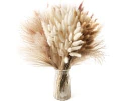 185 stuks natuurlijk gedroogd pampasgras decor, hoge pompas, bloemige rietgrassen, pluimstaarten, gedroogd boho bloemstuk voor bruiloft, tafel, woonkamer, slaapkamer, DIY-ambachten, boerderij