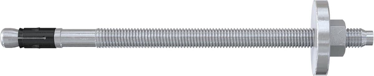 Boutenanker met schijf - Heavy duty anker - Houtconstructies bevestigen - Levensduur 120 jaar - 12/120 mm - Zilver — afbeelding 1
